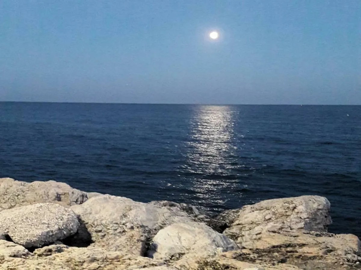 Mediterranean Dream II - Studio Torremolinos